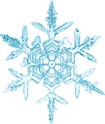 Snowflake depicting a fractal structure.