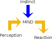 Mind: perception, instinct and reaction.