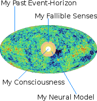The place of consciousness in the universe.