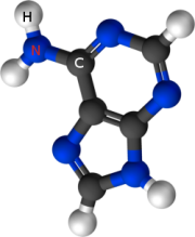Strong geometrical attractors shape molecules.