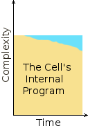 Degradation of integral complexity of DNA.
