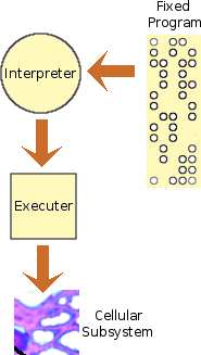 A general-purpose machine has an abstracted program, which can be changed without modifying the machine.