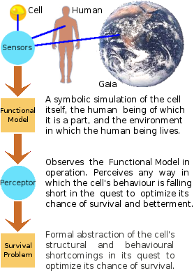 What a cell would have to do to modify its internal programming: phase 1.