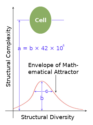 From simple to complex? - mathematical attractor envelope.