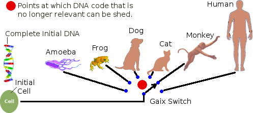 The Gaix switch version of 'evolution'.