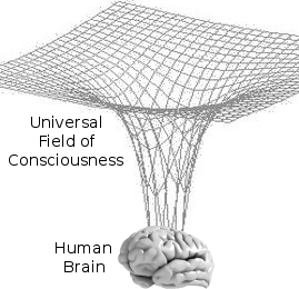 Notion of the human brain being linked to a universal field of consciousness.