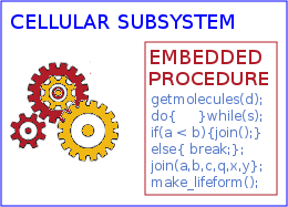 Main construction program embedded within the cell's functional components.