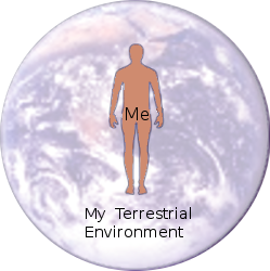 Depiction of my terrestrial environment.
