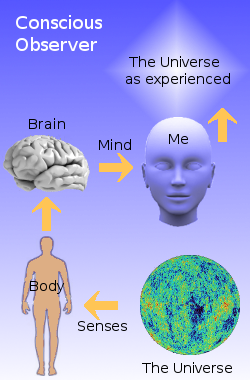The fallible chain of observation continues inside the body and mind of the observer.