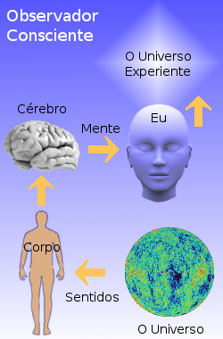 A cadeia falível de observação continua dentro do corpo e mente do observador.