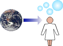 Sensory channels degrade information.
