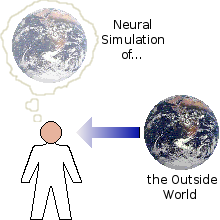 An imperfect neural model of the outside world clouds our perception of it.