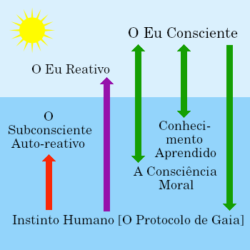 My very simple not-quite-Freudian model of the mind.
