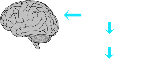 Analogue simulation of a Digital device.