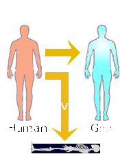 Transformation from man to god.