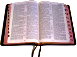 An open Bible. Photo by the author.