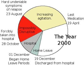 Pie chart showing patient's phases of increasingly disruptive schizophrenic behaviour over the year 2000.