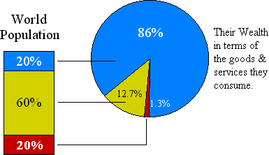 Graphic of the distribution of wealth among the world's population.