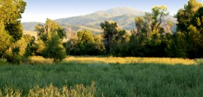 A plot of land, something common man can never unconditionally own.