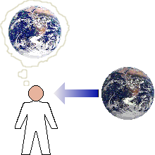 My mind contains a neural simulation of the outside world.