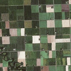 Fields from space.