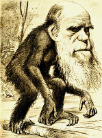 Cartoon image of Charles Robert Darwin, FRS FRGS FLS FZS as an ape.