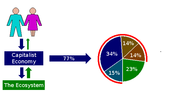 Pie char and schematic showing relative amounts of tax and net income.