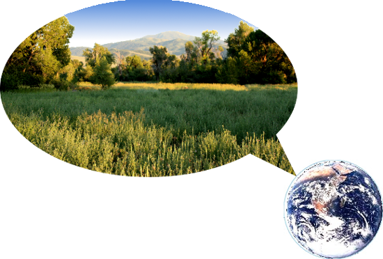 Our rightful share of our planet.