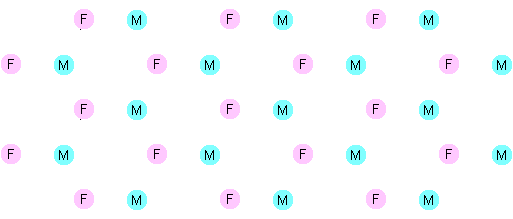 Optimum network topography for inter-gender friendships.