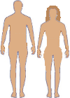 One way in which human beings are categorised is as men and women.