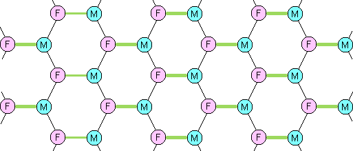 Optimum network topography for inter-gender friendships, which facilitates marriage.