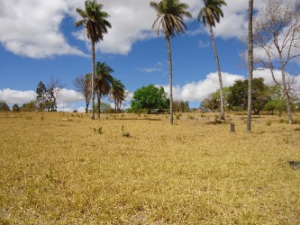Uma fazendinha (a smallholding) near Brasília-de-Minas, Brazil.