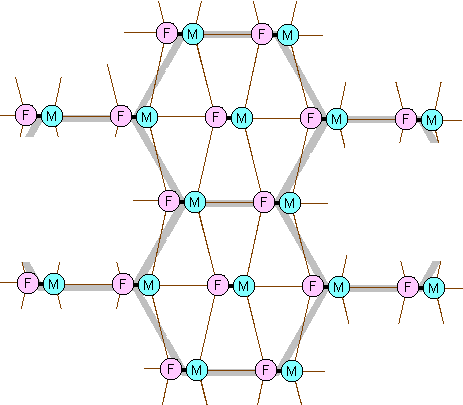 An intentional-community network.