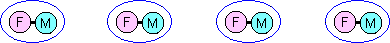 Linked pink and blue circles representing married (connected) pairs of adults.