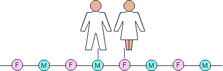 An intimate chain of singles.