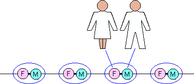 An intimate chain of marrieds.