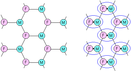 The hexagonal intimate network.