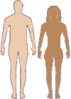 Another way in which humans are categorised is according to race.