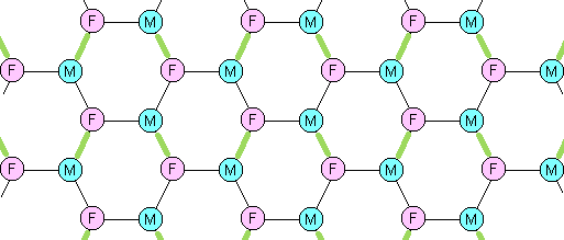 Alternative network topography for inter-gender friendships, which facilitates marriage.