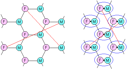 The small-world intimate network.