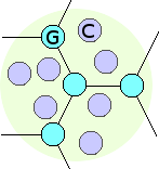 Topology of a community WiFi-style network to replace corporate ISP wired infrastructure.