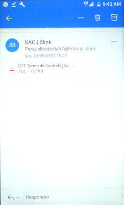 Smartphone rendering of the Blink email.