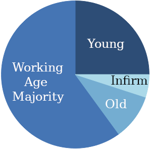 Pie chart of a population, categorised by aptitude for accessing and using Internet services.