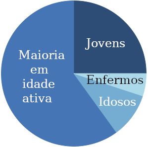 Gráfico de pizza de uma população, categorizada por aptidão para acessar e usar serviços de Internet.