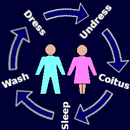 Illustration of the cycle of activites that take place in the sleeping accommodation module of the landshare dwelling.