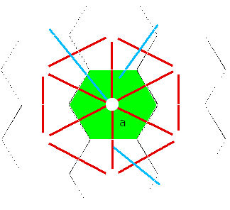 Um plano hexagonal de plantação de árvores.