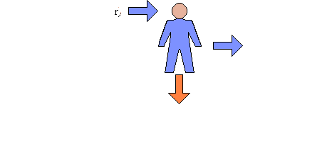 Biological inputs and outputs to the human subsystem.