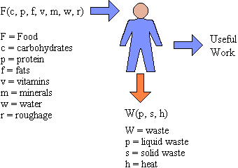Biological inputs and outputs to the human subsystem.