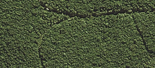 Aerial view of the same area, somewhere between Caeté and Barão de Cocais, several years later, evincing that none of the purchasers had been able to occupy the land they had reputedly bought.