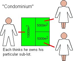 The 20,000 square metre módulo rural illegally divided between three mutually-independent purchasers.